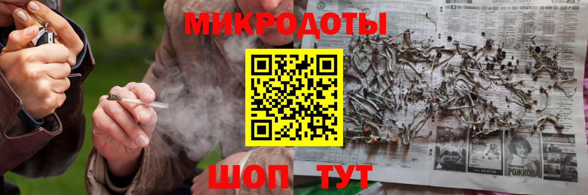 Псилоцибиновые грибы Psilocybine cubensis Янаул