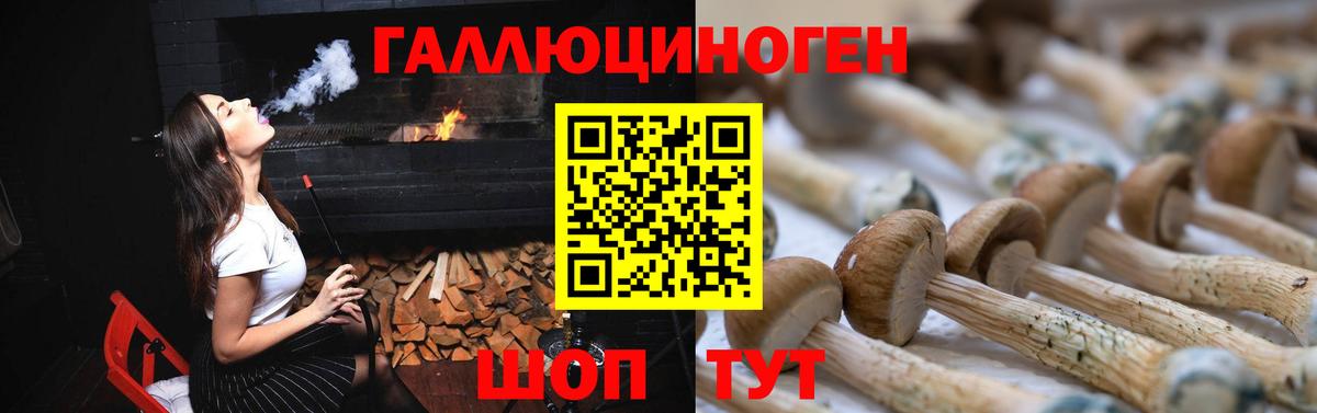 где купить   Галлюциногенные грибы GOLDEN TEACHER  Вход с VPN  Янаул 